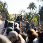 Midwest Training Center - 8th Annual Farm Tour