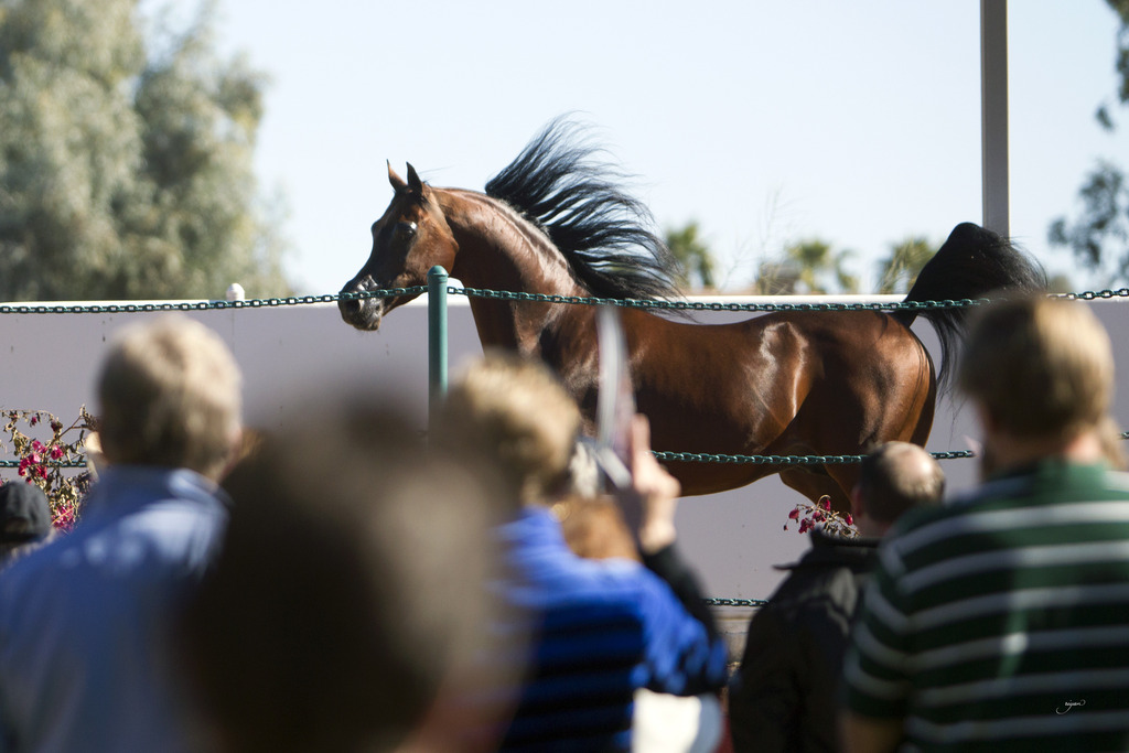 Midwest Training Center - 8th Annual Farm Tour