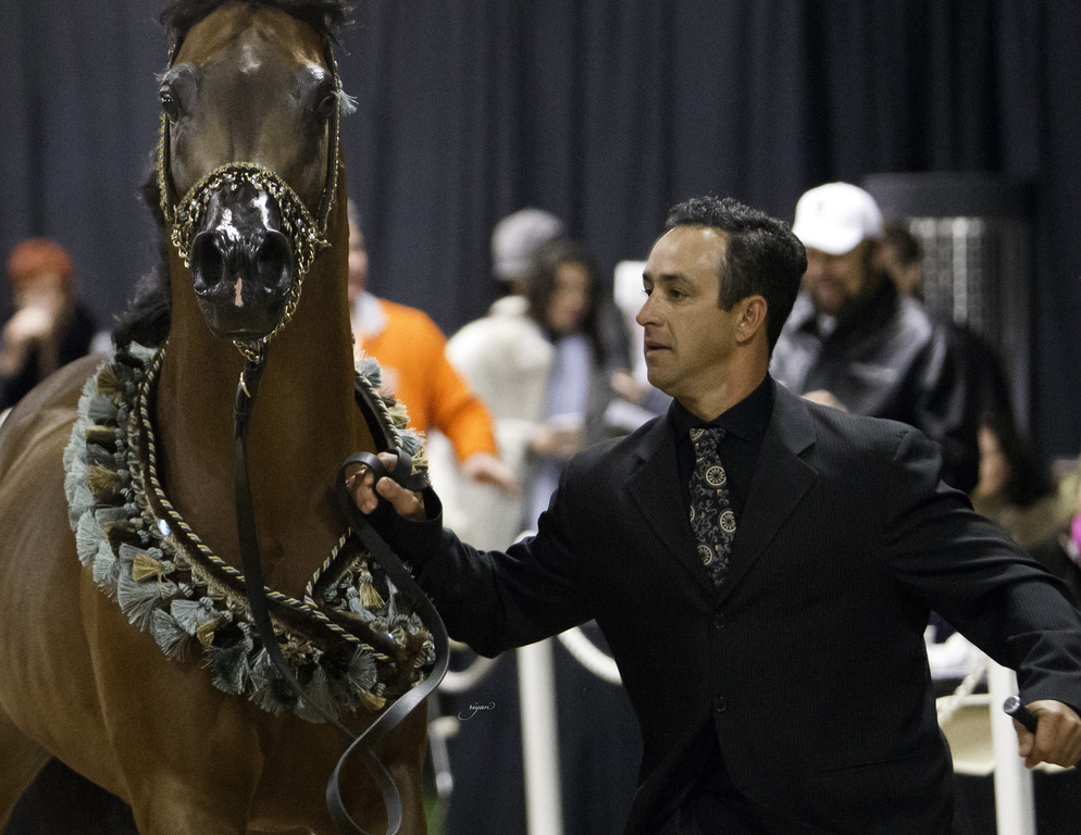 Rae Dawn Arabians - 8th Annual Farm Tour