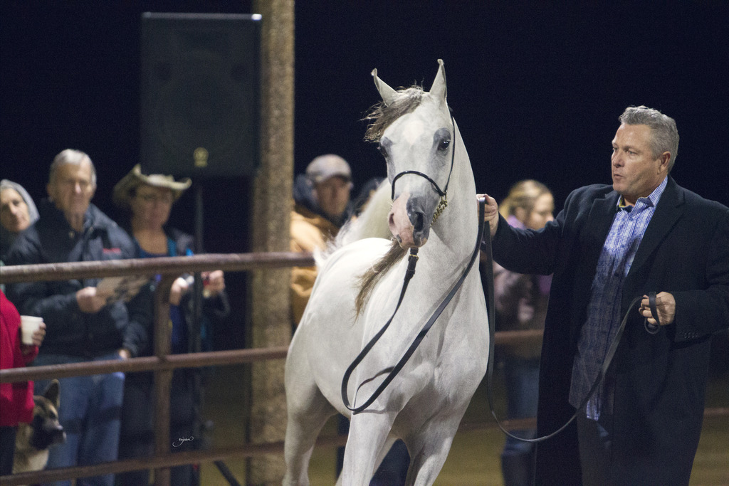 Regency Cove Farm - 8th Annual Farm Tour
