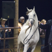 Regency Cove Farm - 8th Annual Farm Tour