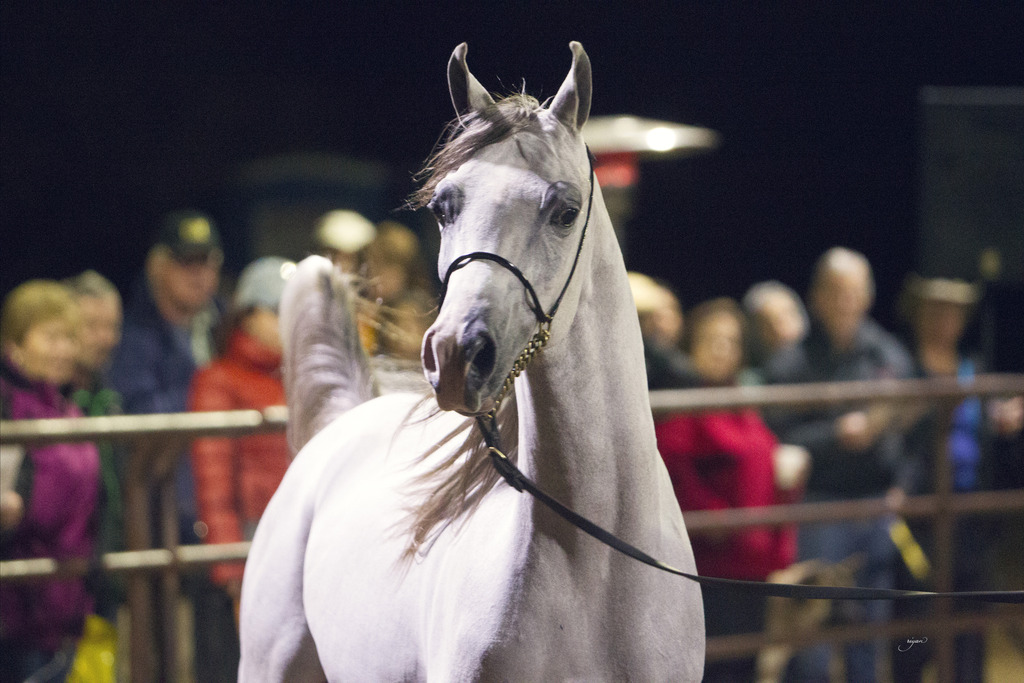 Regency Cove Farm - 8th Annual Farm Tour