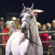 Regency Cove Farm - 8th Annual Farm Tour