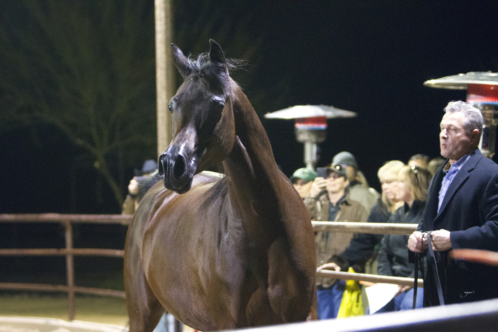 Regency Cove Farm - 8th Annual Farm Tour