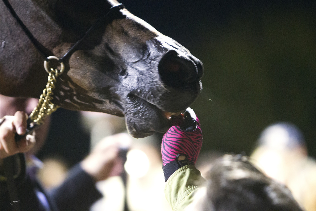 Regency Cove Farm - 8th Annual Farm Tour