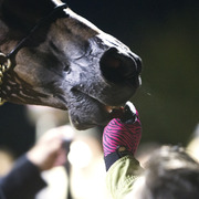 Regency Cove Farm - 8th Annual Farm Tour