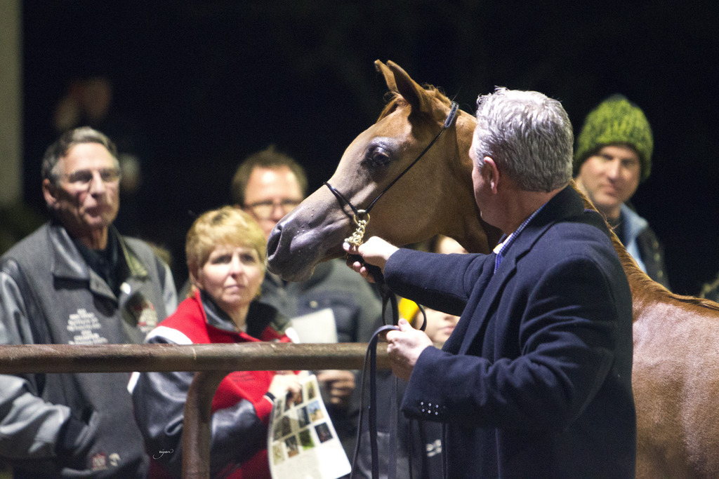 Regency Cove Farm - 8th Annual Farm Tour