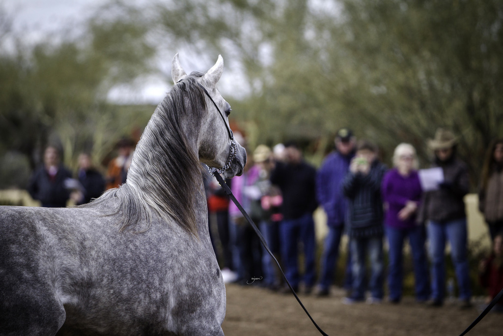 Stonewall Farm - 8th Annual Farm Tour