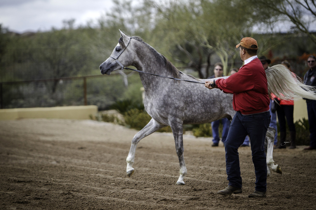 Stonewall Farm - 8th Annual Farm Tour