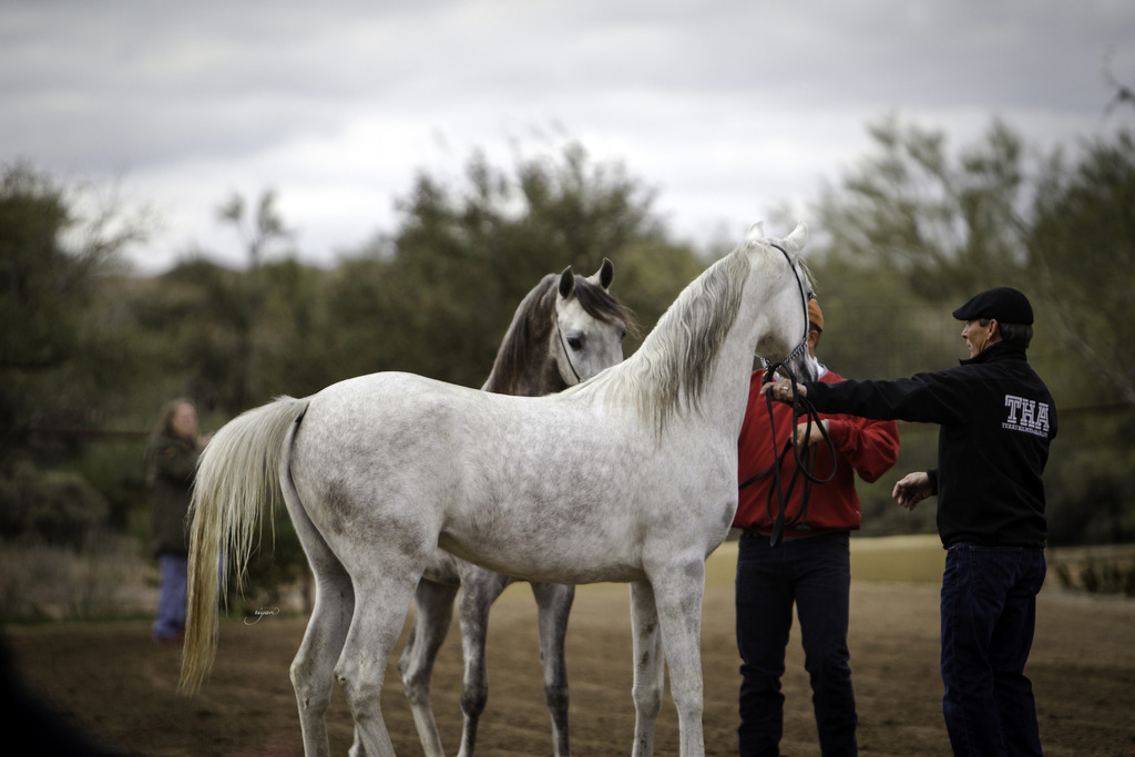 Stonewall Farm - 8th Annual Farm Tour