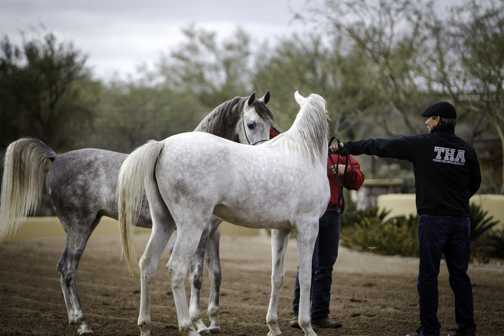 Stonewall Farm - 8th Annual Farm Tour