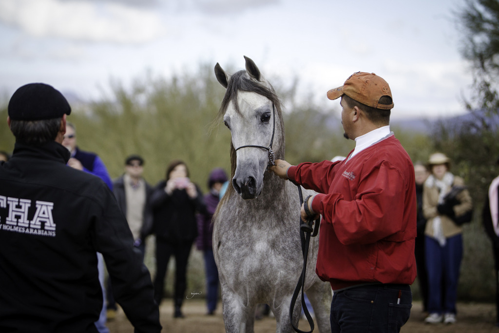 Stonewall Farm - 8th Annual Farm Tour