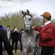 Stonewall Farm - 8th Annual Farm Tour