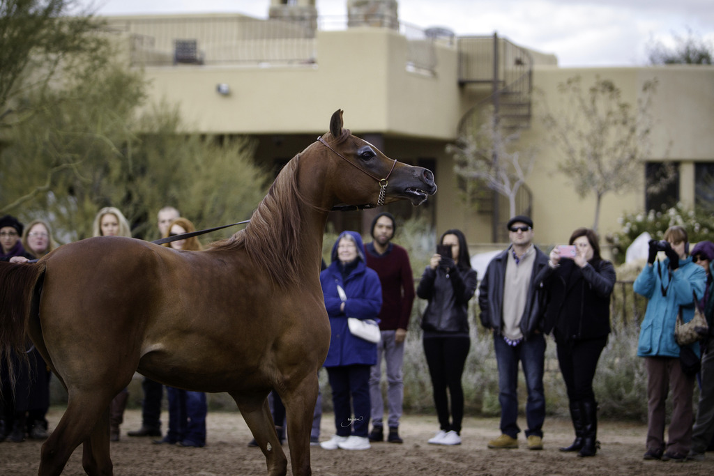 Stonewall Farm - 8th Annual Farm Tour
