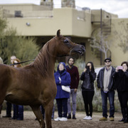 Stonewall Farm - 8th Annual Farm Tour
