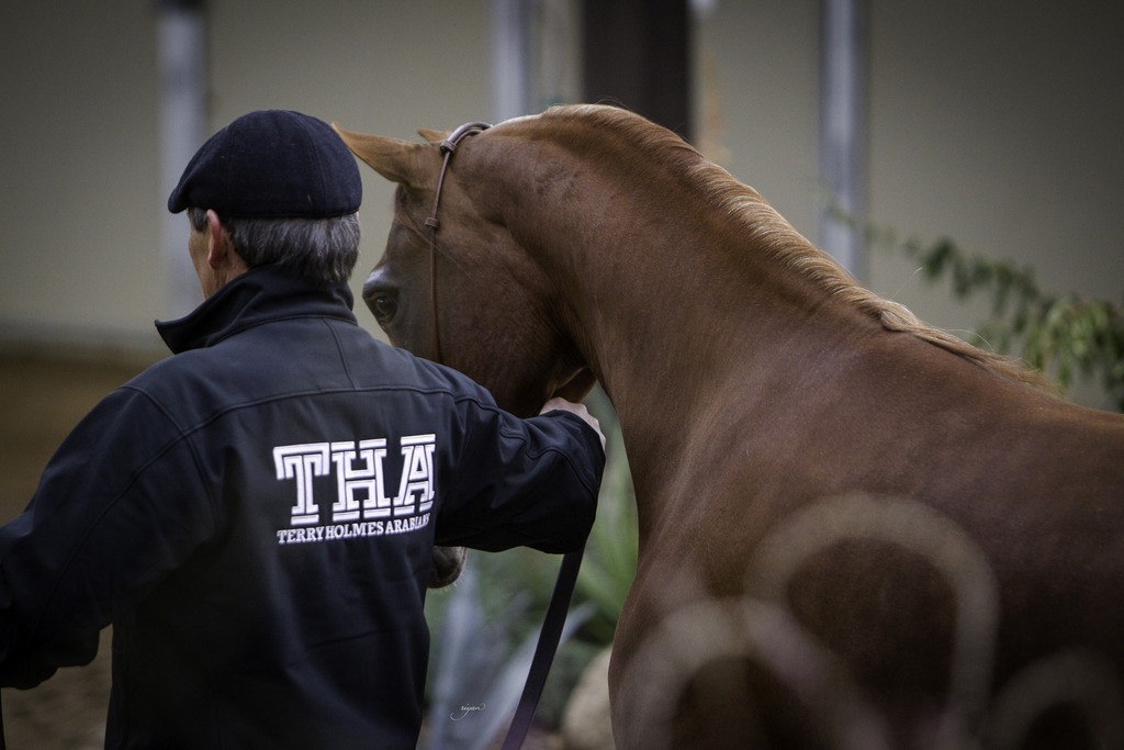 Stonewall Farm - 8th Annual Farm Tour