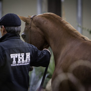 Stonewall Farm - 8th Annual Farm Tour