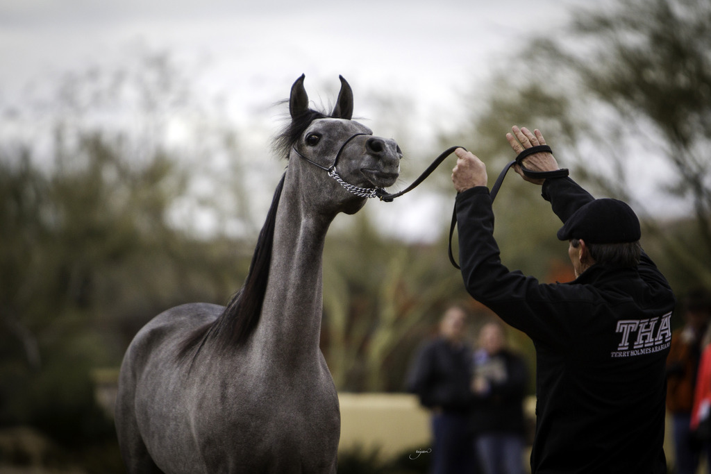Stonewall Farm - 8th Annual Farm Tour