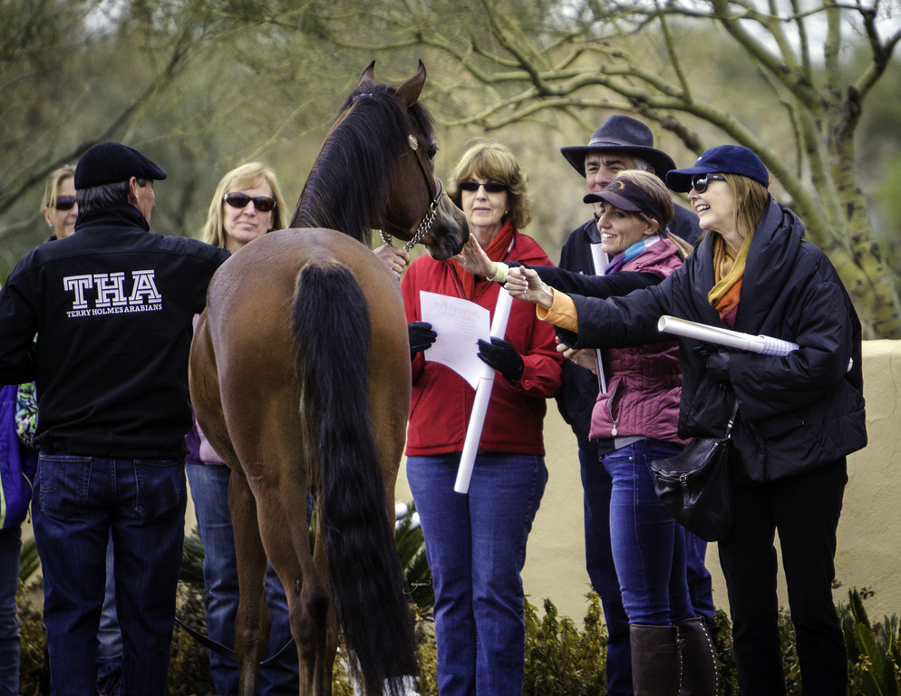 Stonewall Farm - 8th Annual Farm Tour