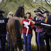 Stonewall Farm - 8th Annual Farm Tour