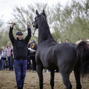Stonewall Farm - 8th Annual Farm Tour