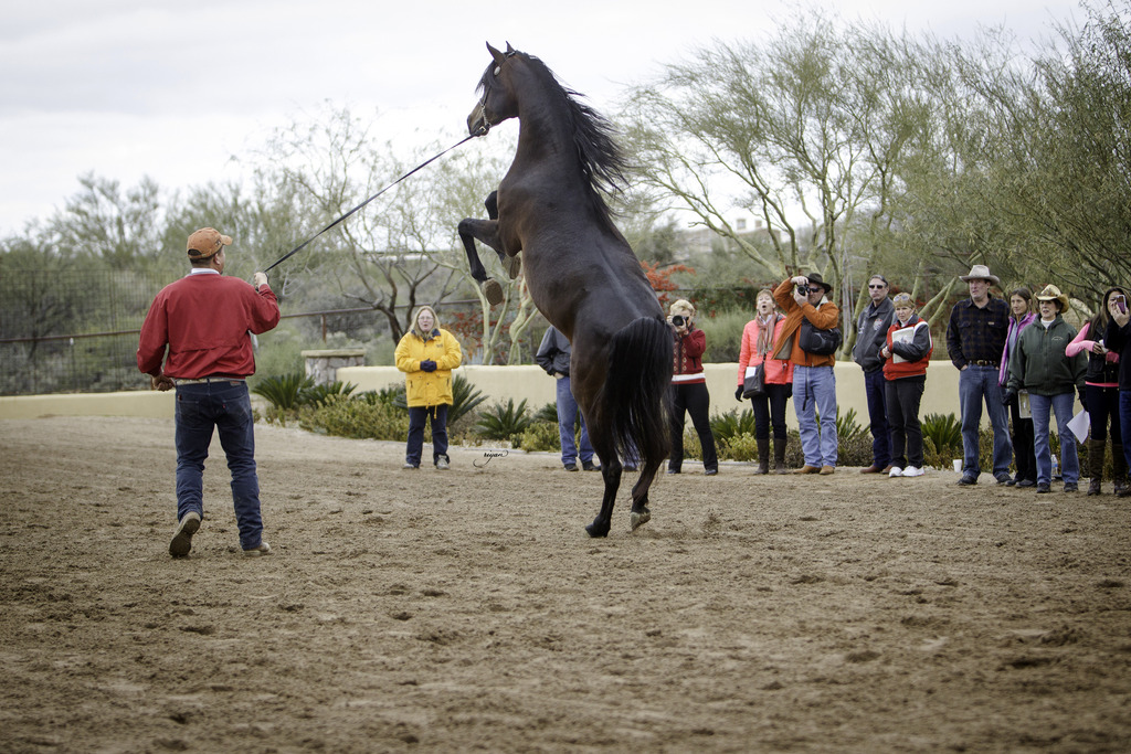 Stonewall Farm - 8th Annual Farm Tour