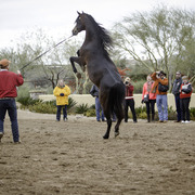 Stonewall Farm - 8th Annual Farm Tour