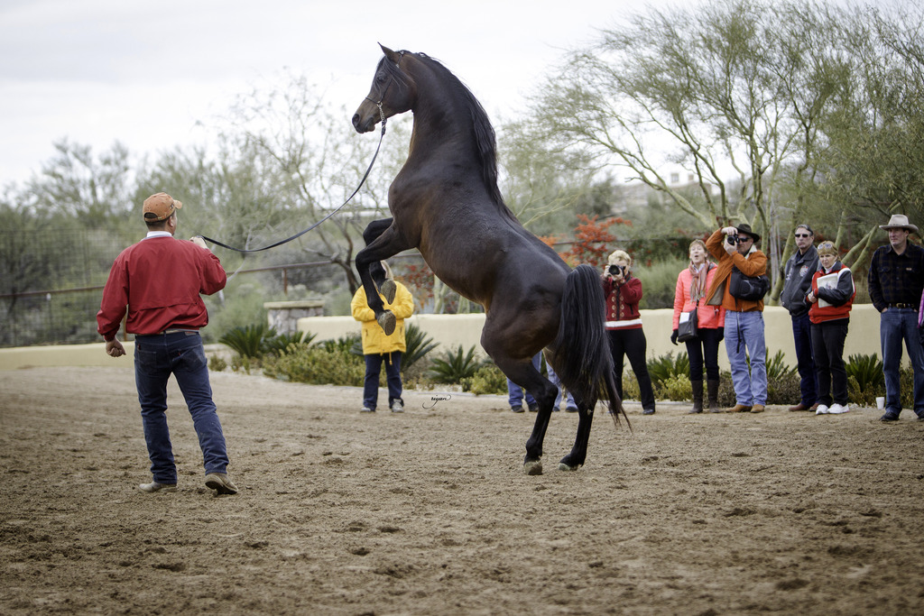 Stonewall Farm - 8th Annual Farm Tour
