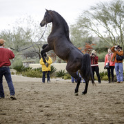 Stonewall Farm - 8th Annual Farm Tour