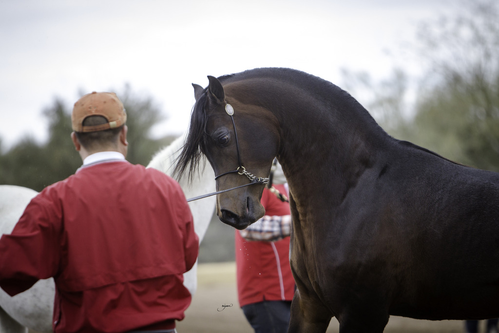 Stonewall Farm - 8th Annual Farm Tour