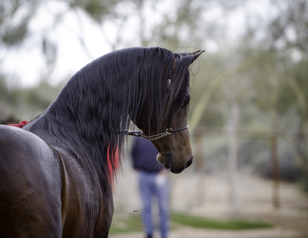 Stonewall Farm - 8th Annual Farm Tour