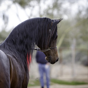 Stonewall Farm - 8th Annual Farm Tour