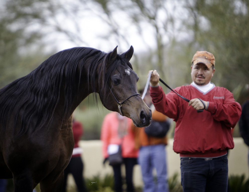 Stonewall Farm - 8th Annual Farm Tour