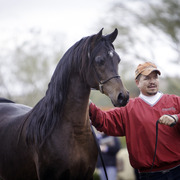Stonewall Farm - 8th Annual Farm Tour