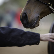Stonewall Farm - 8th Annual Farm Tour