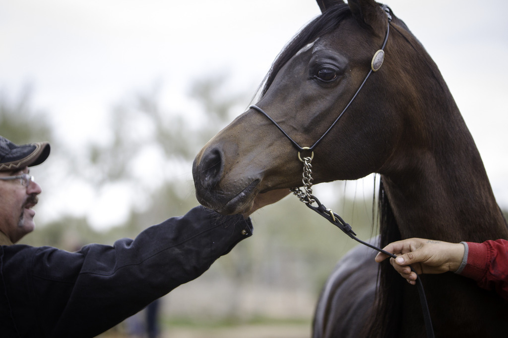 Stonewall Farm - 8th Annual Farm Tour