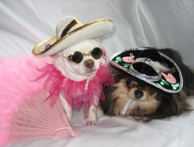 Elizabeth Taylor with Rudy Valentino - The incomparable Elizabeth Taylor with Rudy Valentino
Photo courtesy of Richard T. Bryant