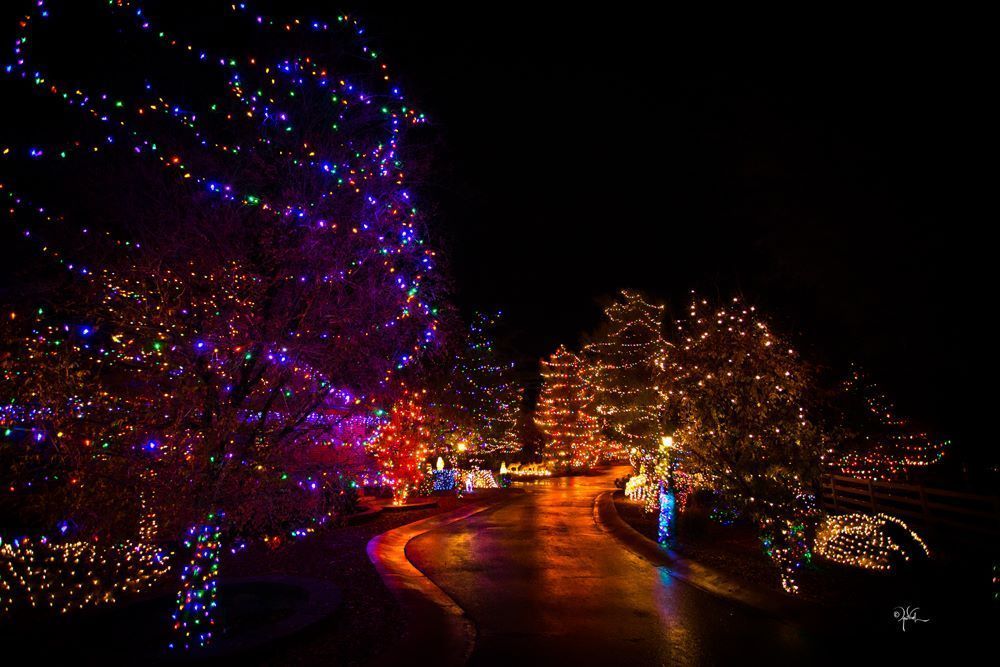 Photo by April Visel