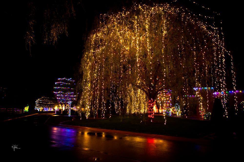 Photo by April Visel