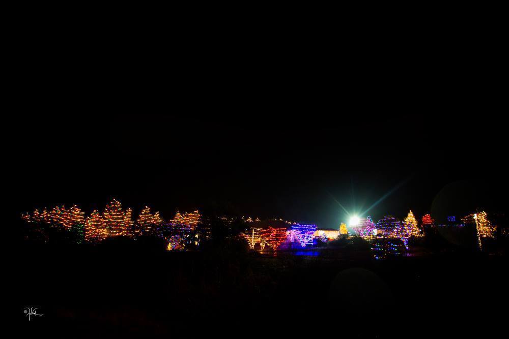 Photo by April Visel