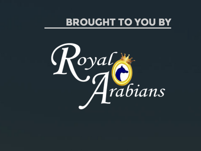 8th Annual ArabHorse Farm Tour