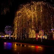 Phoenix Children's Hospital New Years Eve Benefit - Hosted by The Ames Family