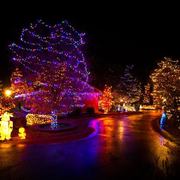 Phoenix Children's Hospital New Years Eve Benefit - Hosted by The Ames Family