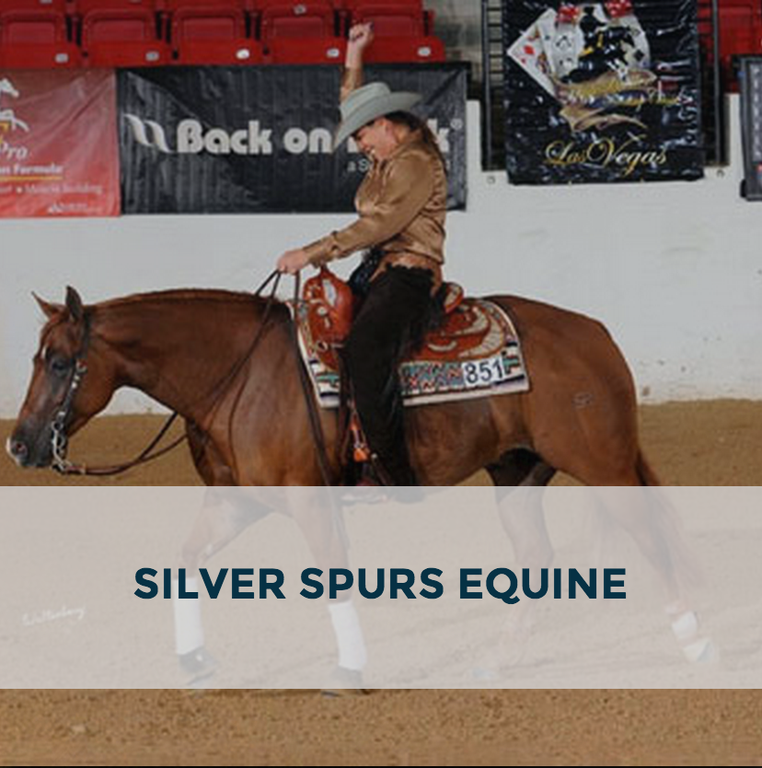 Silver Spurs Equine