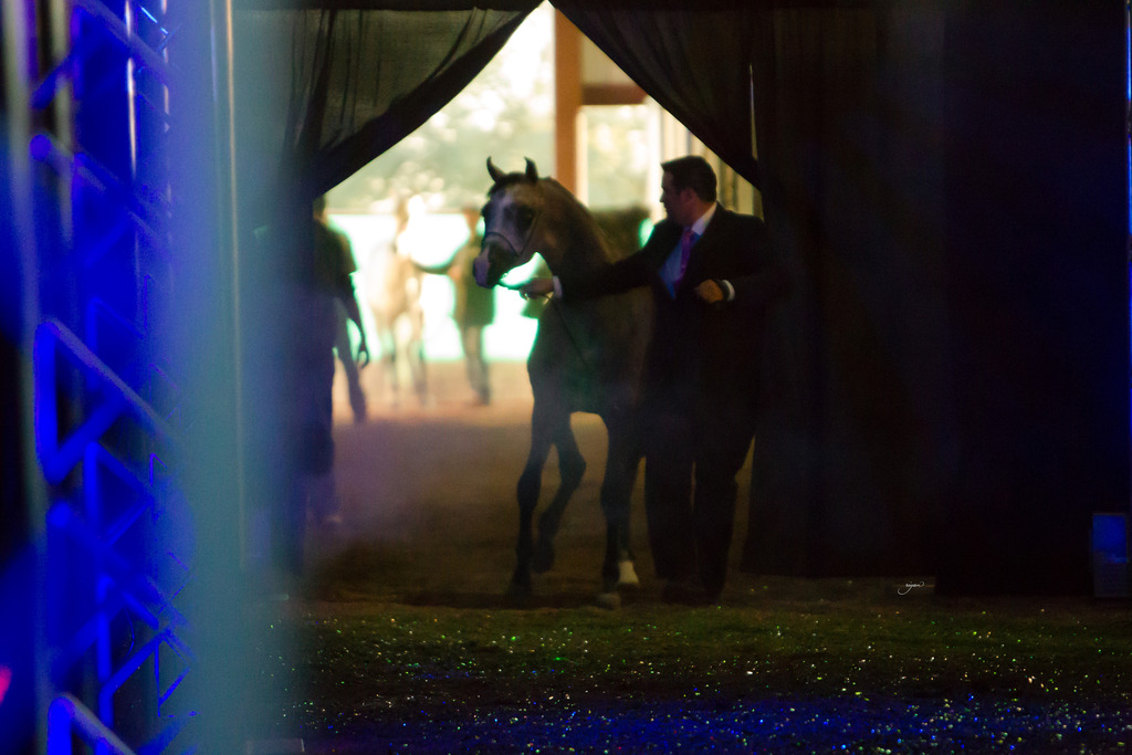 Rodrigues Training - 8th Annual Farm Tour