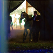 Rodrigues Training - 8th Annual Farm Tour