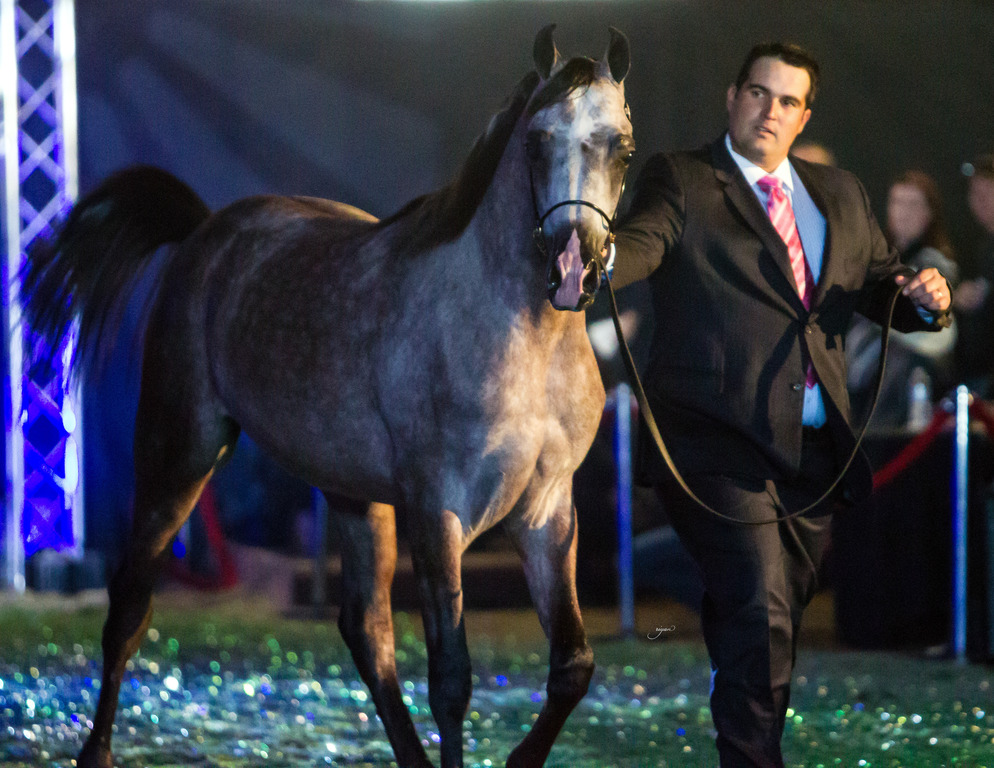 Rodrigues Training - 8th Annual Farm Tour