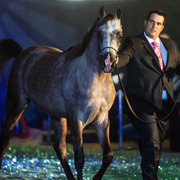 Rodrigues Training - 8th Annual Farm Tour