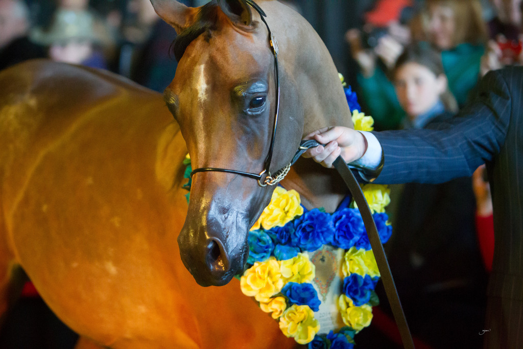 Rodrigues Training - 8th Annual Farm Tour