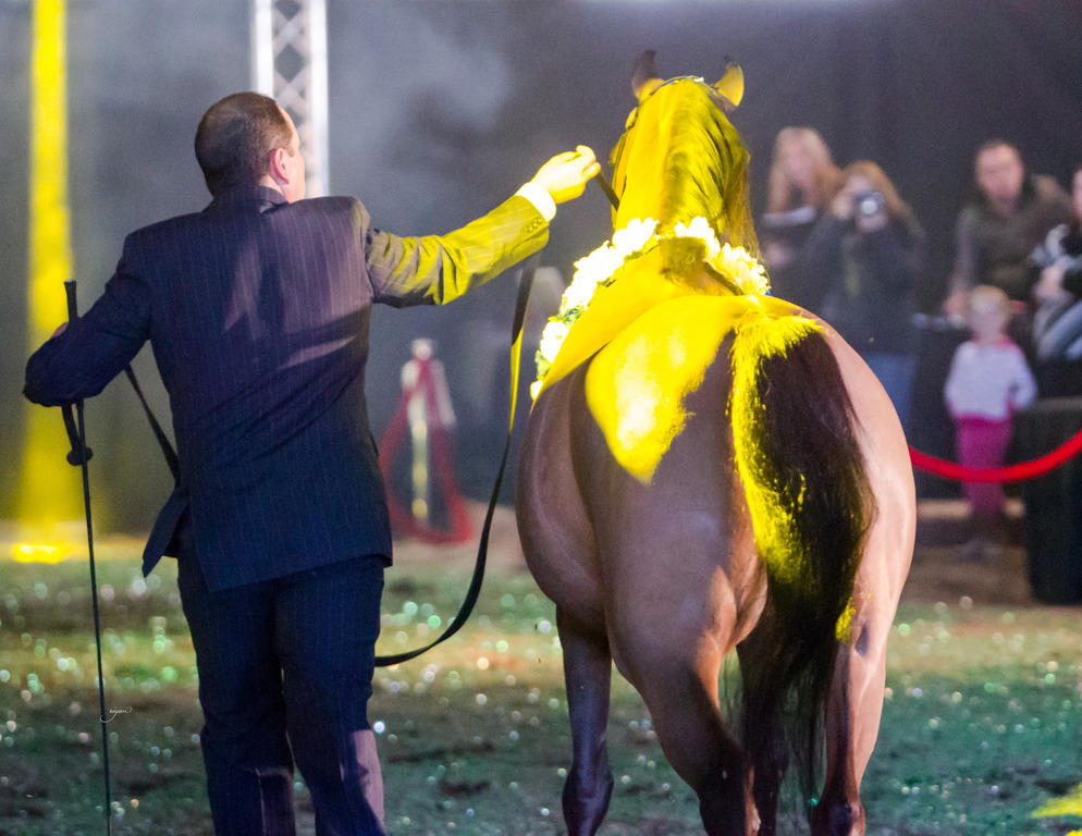 Rodrigues Training - 8th Annual Farm Tour